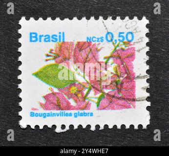 Francobollo cancellato stampato dal Brasile, che mostra Bougainvillea glabra, circa 1989. Foto Stock