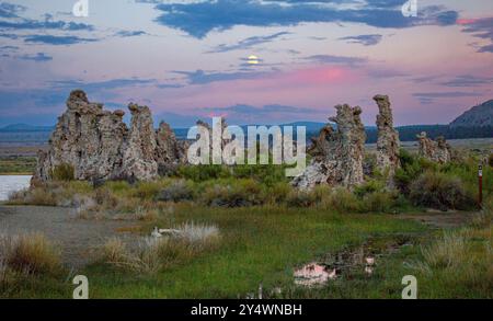 Torri di tufo nel lago Mono Foto Stock