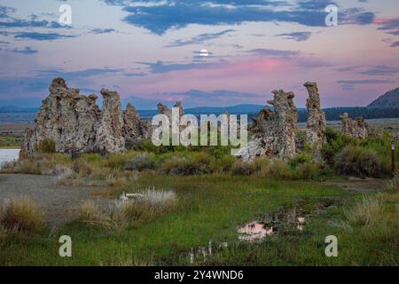 Torri di tufo nel lago Mono Foto Stock