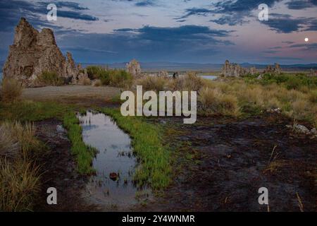 Torri di tufo nel lago Mono Foto Stock