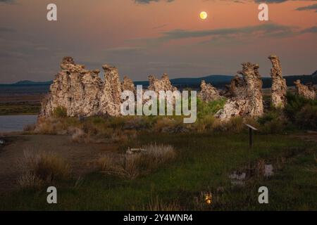 Torri di tufo nel lago Mono Foto Stock