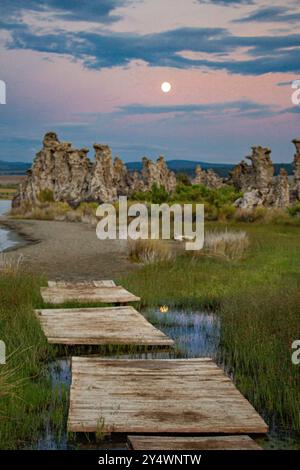 Torri di tufo nel lago Mono Foto Stock