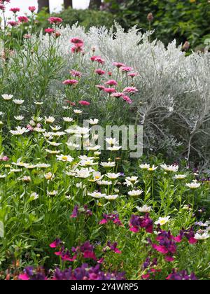 The Mill Garden - English Cottage Garen, Warwick Foto Stock