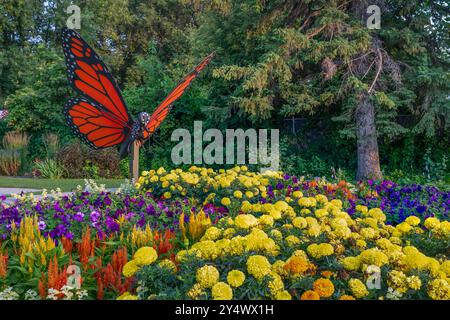 Una scultura di farfalle Monarch presso i Butterfly Gardens di Winkler, Manitoba, Canada. Foto Stock