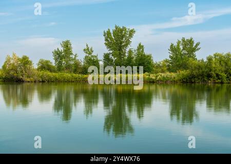 Uno stagno delle zone umide a FortWhyte Alive, Winnipeg, Manitoba, Canada. Foto Stock