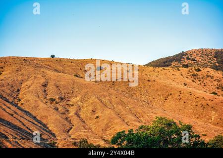 Colline aride con arbusti sparpagliati vicino a Agios Germanos, Grecia, immerse nella calda luce del tramonto, evidenziando il terreno accidentato e l'albero solitario. Foto Stock