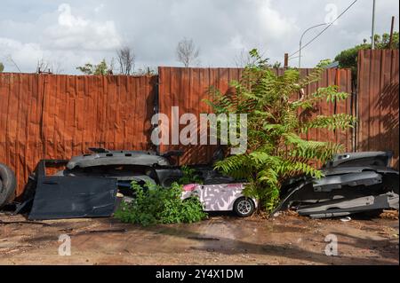 12 settembre 2024 - Roma, Italia: Iniziazione la bonifica delle aree occupate dagli autodemolitori, parte del progetto di riqualificazione del Parco di Centocelle. Viale Palmiro Togliatti. © Andrea Sabbadini Foto Stock