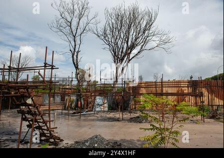 12 settembre 2024 - Roma, Italia: Iniziazione la bonifica delle aree occupate dagli autodemolitori, parte del progetto di riqualificazione del Parco di Centocelle. Viale Palmiro Togliatti. © Andrea Sabbadini Foto Stock