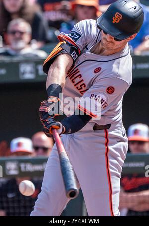 Baltimora, Stati Uniti. 19 settembre 2024. BALTIMORE, MD - 19 SETTEMBRE: L'esterno dei San Francisco Giants Mike Yastrzemski (5) in battuta durante una partita della MLB tra i Baltimore Orioles e i San Francisco Giants, il 19 settembre 2024 all'Orioles Park a Camden Yards, a Baltimora, Maryland. (Foto di Tony Quinn/SipaUSA) credito: SIPA USA/Alamy Live News Foto Stock