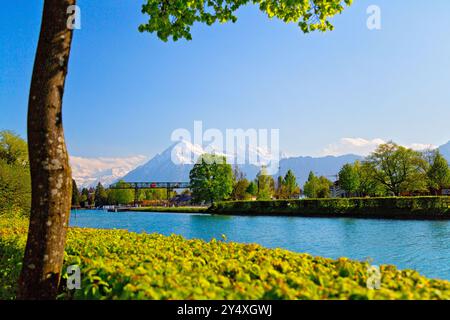 Vista panoramica della città di Thun, del lago di Thun, degli altopiani bernesi, delle Alpi svizzere Foto Stock