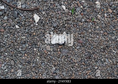 Superfici di terra con un tema di piccole rocce sul terreno Foto Stock