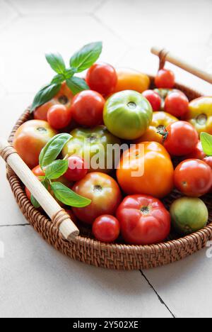 Un'abbondante collezione di pomodori colorati riempie un cesto intrecciato, caratterizzato da varie dimensioni e sfumature che si appoggiano su un ripiano della cucina a fine estate Foto Stock