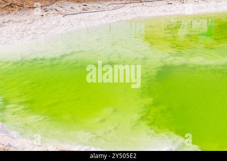 Primo piano sull'acqua verde brillante del lago Qarhan vicino a Golmud, Qinghai, Cina, immagine di sfondo con spazio per copiare il testo Foto Stock