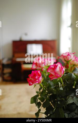 Rose, rosa e esposizione in casa per decorazione, regalo e fiori in salotto per estetica. Fiori, bouquet o piante fresche nella sala per Foto Stock