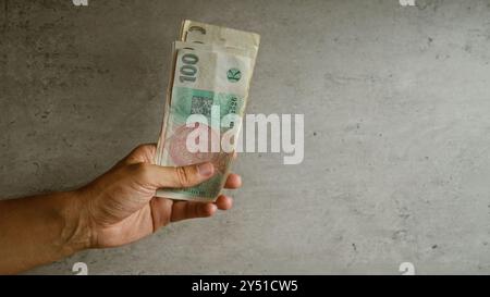 Mano di un uomo che tiene in mano banconote della corona ceca su sfondo di cemento Foto Stock