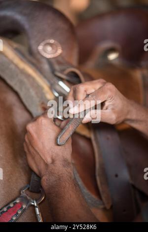 Primo piano di mani che mettono la cinghia su una sella Foto Stock