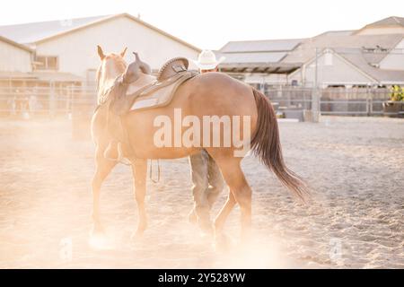 Cavallo che fa calci la polvere in fattoria Foto Stock