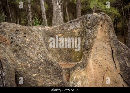 Tina de l'Amorriador, una cisterna scavata nella roccia vicino alla pianura di Pla de Sant Pere, a Navàs (Bages, Barcellona, ​​Catalonia, Spagna) Foto Stock