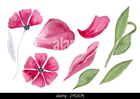 Fiori rosa, petali e foglie verdi, acquerello isolato su bianco. Elementi di design disegnati a mano, perfetti per decorazioni, pacchetti, blog, carte, poster, Foto Stock