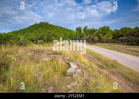 Rovine dell'antica chiesa romanica di Sant Pere de les Cigales, sulla pianura di Pla de Sant Pere, vicino a Navàs (Bages, Barcellona, ​​Catalonia Spagna) Foto Stock