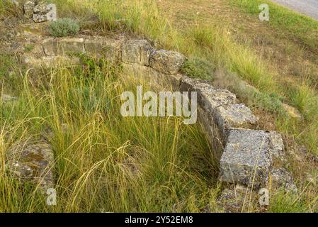 Rovine dell'antica chiesa romanica di Sant Pere de les Cigales, sulla pianura di Pla de Sant Pere, vicino a Navàs (Bages, Barcellona, ​​Catalonia Spagna) Foto Stock