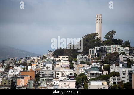 Vista della Coit Tower e del Telegraph Hill da Chinatown Foto Stock