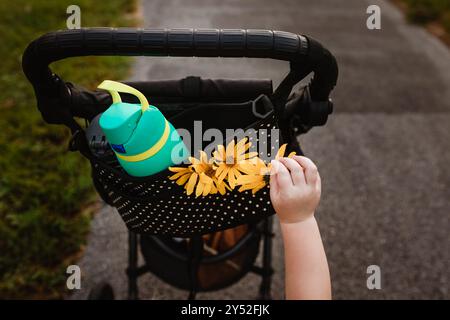 Mano del bambino che mette fiori selvatici in borsa durante la passeggiata quotidiana Foto Stock