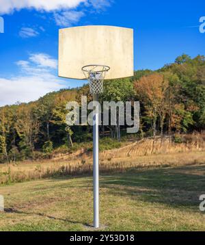 Canestro da basket sullo sfondo di una foresta. Foto Stock