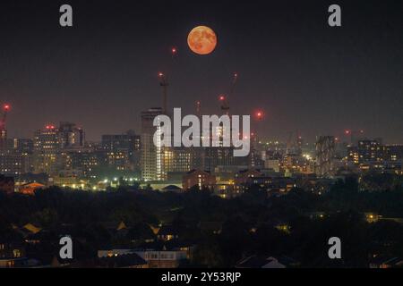 Londra, Regno Unito. 19 settembre 2024. Meteo nel Regno Unito: Un Harvest Supermoon quasi pieno al 98,7% di illuminazione si innalza sulla città il giovedì sera muovendosi in direzione est - il secondo di quattro Supermoons ad apparire nel 2024. La luna del raccolto di settembre è spesso la luna piena più vicina all'equinozio autunnale, chiamata anche «luna dell'orzo» o «luna del mais» perché è quando le colture vengono raccolte alla fine della stagione estiva. Crediti: Guy Corbishley/Alamy Live News Foto Stock