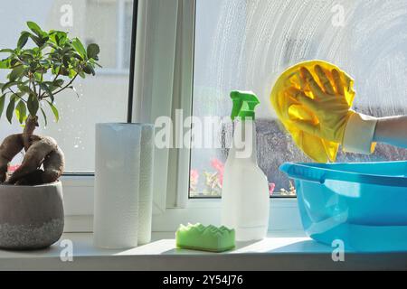 Donna che indossa guanti di gomma che lava la finestra in casa. Pulizia e pulizia, detergenti. Foto Stock