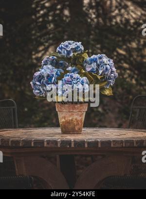 bouquet di fiori blu in vaso di argilla sul tavolo all'esterno Foto Stock