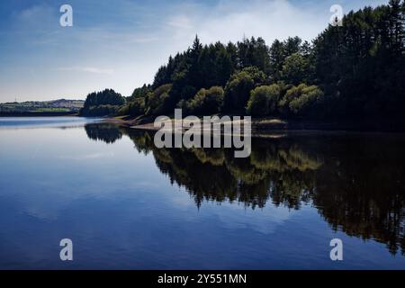 Riflessi boschivi nelle acque tranquille del lago artificiale Wayoh Foto Stock