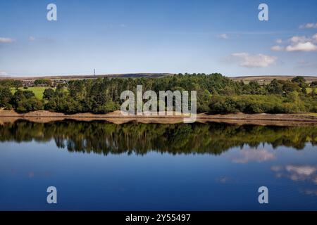 Il litorale boscoso del Wayoh Reservoir si riflette nelle acque tranquille. Foto Stock