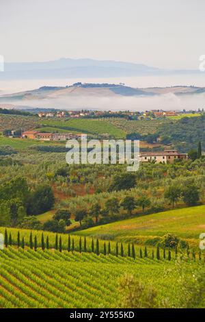 Paesaggio della regione del Chianti, tra Firenze e Siena, famosa per la produzione di buon vino e le sue dolci colline coltivate a vite Foto Stock