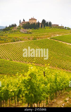 Paesaggio della regione del Chianti, tra Firenze e Siena, famosa per la produzione di buon vino e le sue dolci colline coltivate a vite Foto Stock