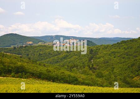 Paesaggio della regione del Chianti, tra Firenze e Siena, famosa per la produzione di buon vino e le sue dolci colline coltivate a vite Foto Stock