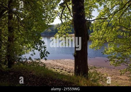 Acqua blu del Wayoh Reservoir attraverso gli alberi del litorale. Foto Stock