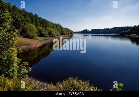 Le acque blu del Wayoh Reservoir. Foto Stock