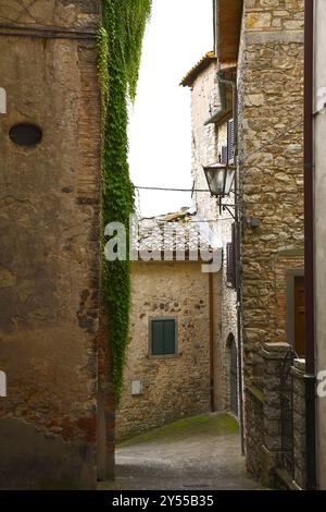 La città di Radda appare racchiusa all'interno delle mura parzialmente conservate. La città vecchia ha una pianta cittadina costituita da una strada principale sulla quale si apre Foto Stock