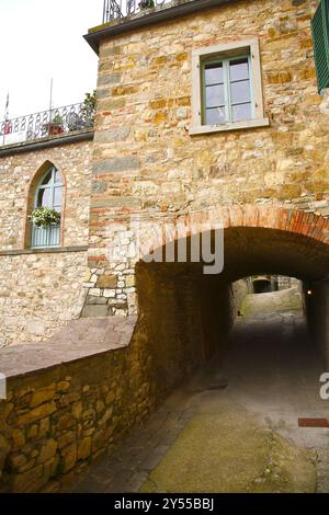 La città di Radda appare racchiusa all'interno delle mura parzialmente conservate. La città vecchia ha una pianta cittadina costituita da una strada principale sulla quale si apre Foto Stock