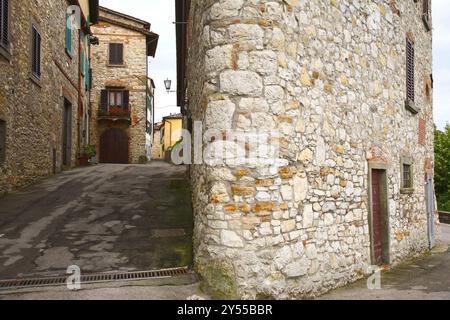 La città di Radda appare racchiusa all'interno delle mura parzialmente conservate. La città vecchia ha una pianta cittadina costituita da una strada principale sulla quale si apre Foto Stock