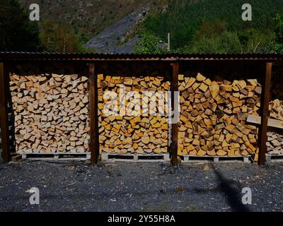 Stabulario con vari condimenti per tronchi pronti per la combustione in inverno, principalmente legni duri e ben impilati. Foto Stock