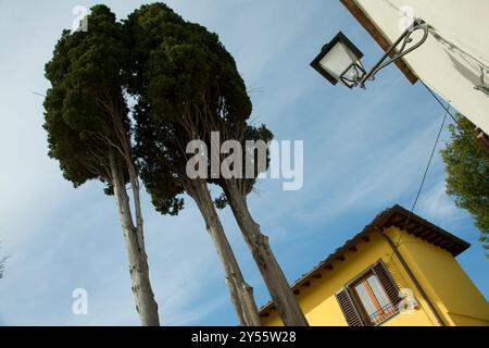 Villaggio rinascimentale di Greve in Chianti, luogo di produzione del famoso vino rosso Chanti Gallo Nero. Toscana, Italia Foto Stock