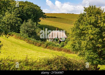 Un tradizionale cottage isolato con tetto di paglia su una stretta corsia sotto Colmer's Hill nel villaggio di Symondsbury, nr Bridport, Dorset, Inghilterra, Regno Unito Foto Stock