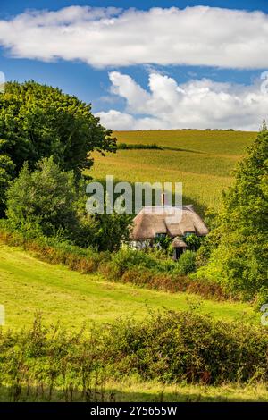 Un tradizionale cottage isolato con tetto di paglia su una stretta corsia sotto Colmer's Hill nel villaggio di Symondsbury, nr Bridport, Dorset, Inghilterra, Regno Unito Foto Stock