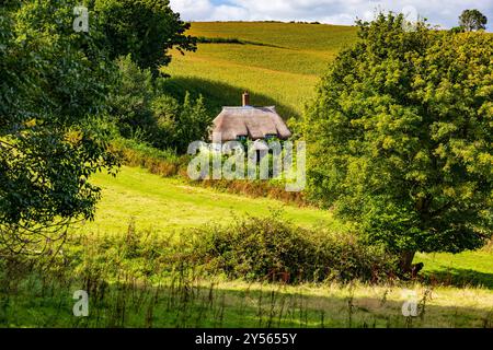 Un tradizionale cottage isolato con tetto di paglia su una stretta corsia sotto Colmer's Hill nel villaggio di Symondsbury, nr Bridport, Dorset, Inghilterra, Regno Unito Foto Stock