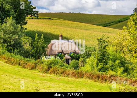 Un tradizionale cottage isolato con tetto di paglia su una stretta corsia sotto Colmer's Hill nel villaggio di Symondsbury, nr Bridport, Dorset, Inghilterra, Regno Unito Foto Stock