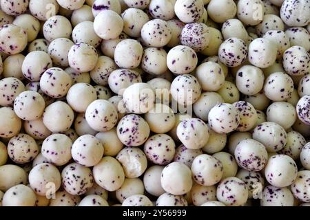 Il formaggio salato Varios, noto anche come qurt o cagliata o kurt, è venduto al bazar uzbeko, in uzbekistan. Cucina nazionale. Messa a fuoco selettiva Foto Stock