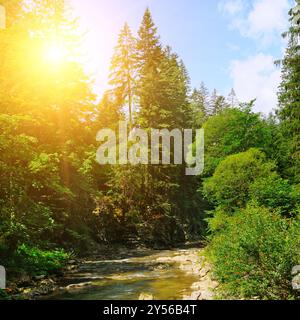 Fiume in montagna. Meraviglioso scenario primaverile della campagna dei carpazi. acqua blu tra la foresta verde e la costa rocciosa. Foto Stock