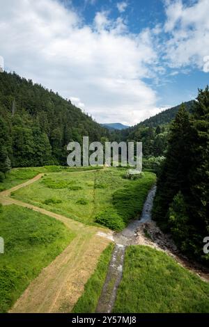 Vista sul lato orientale da una diga di pietra sul fiume Wilczka, fino a un serbatoio vuoto di controllo delle inondazioni a Miedzygorze, Polonia. Foto Stock